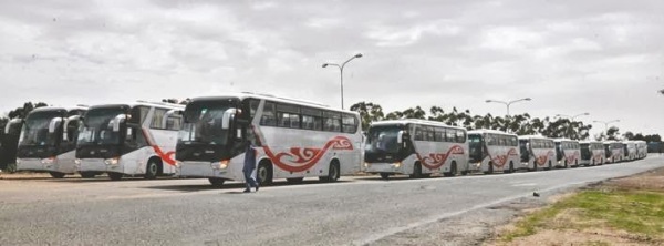 Dozens of buses imported from China $80 million dollars